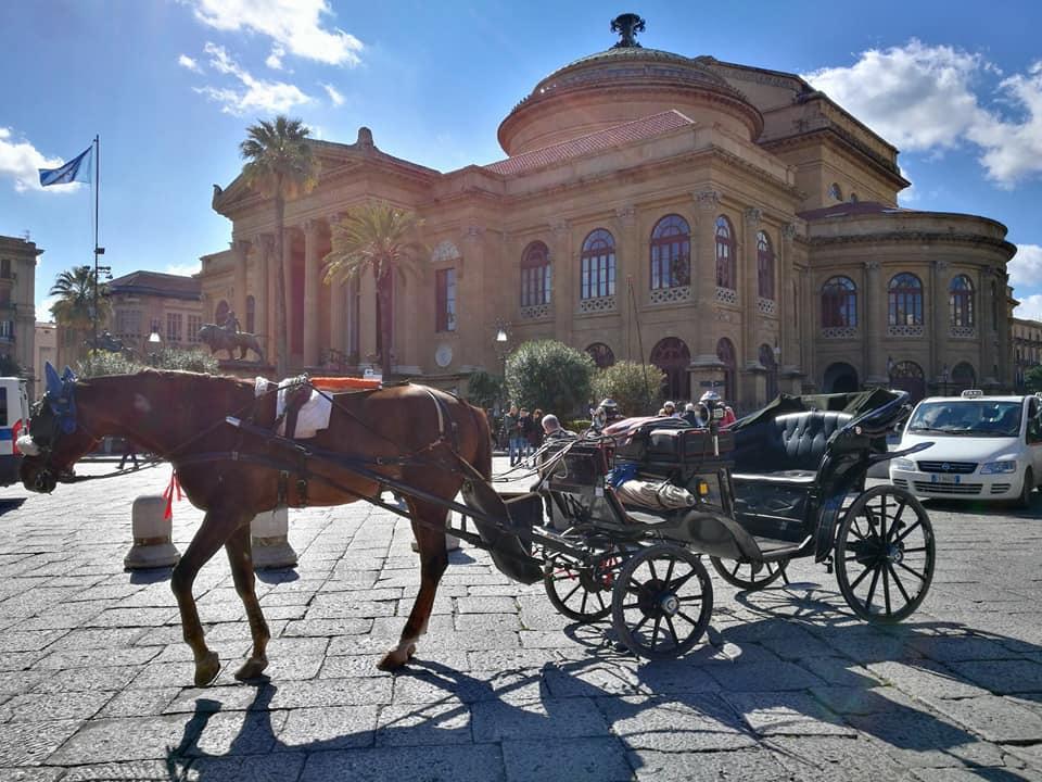 All'Ombra Del Massimo Palermo Eksteriør billede